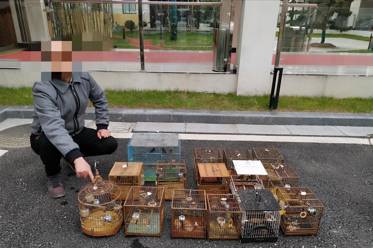 3年杀1.2万只“黄大仙”,被罚960万,其实农民这几种行为也违法