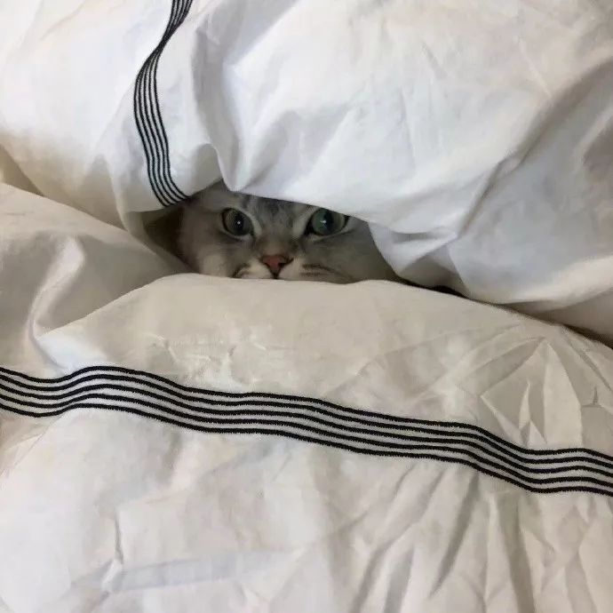 游戏里被绿了怎么办,在游戏中被绿