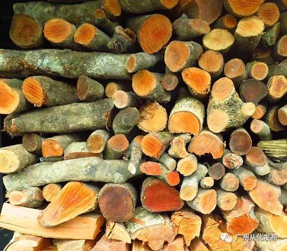 从化吕田米酒之乡,从化吕田特产酒