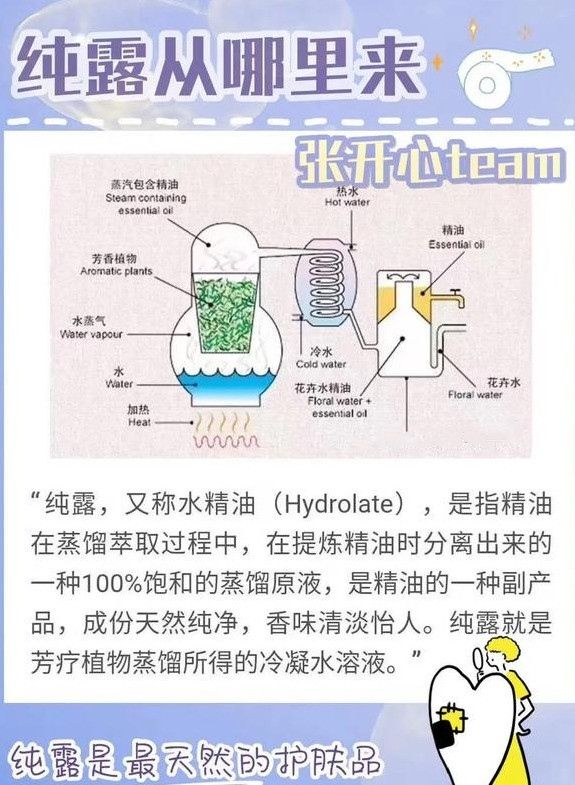 德国洋甘菊纯露的功效修复敏感肌,洋甘菊有抗过敏的效果吗