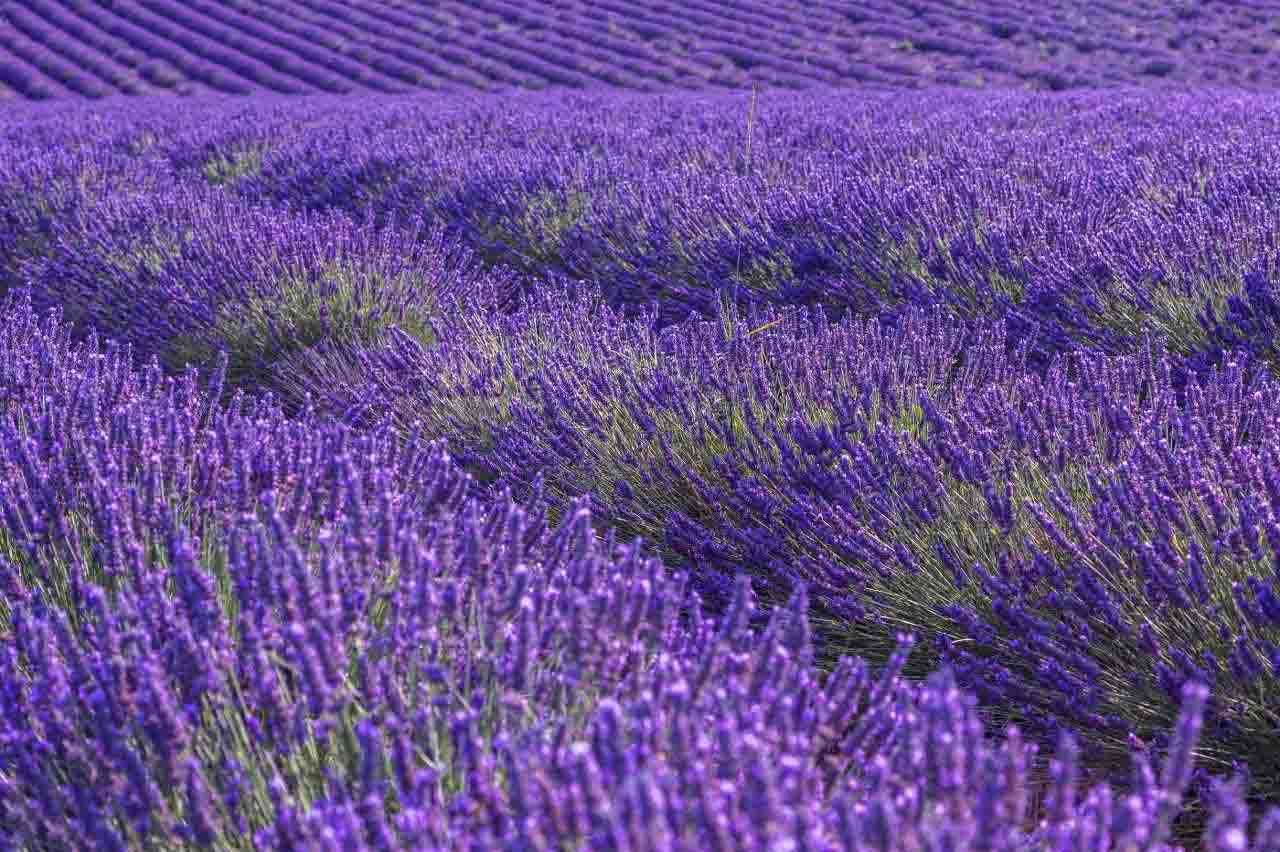 带你走进浪漫清远,感受不一样的历史情怀