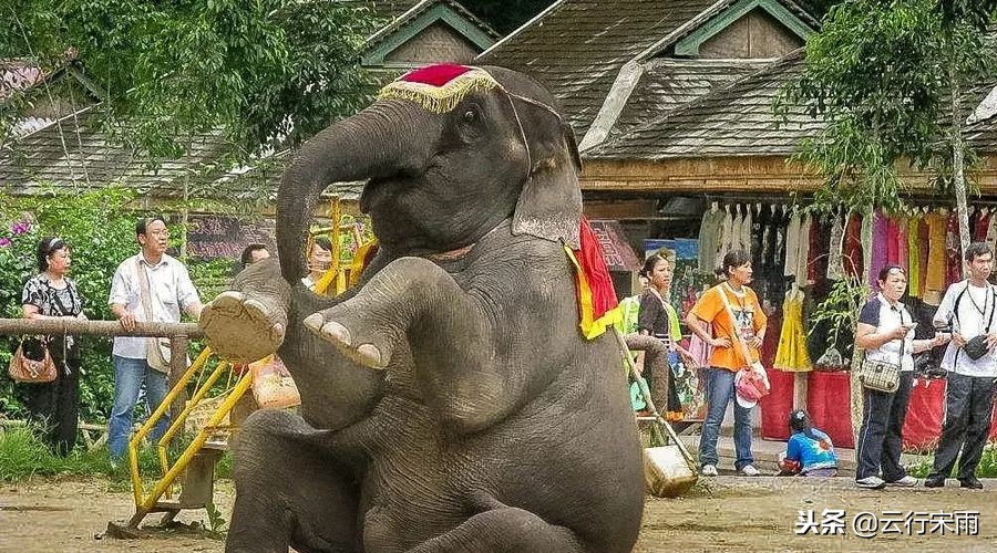 八天七夜云南旅游,八天七夜旅游云南