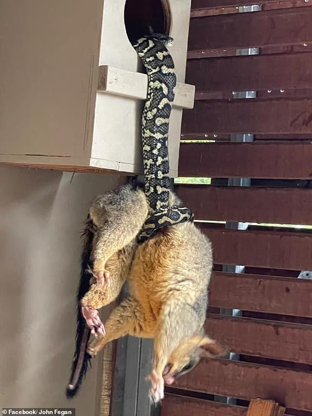 全身发抖照片,浑身发抖的图片