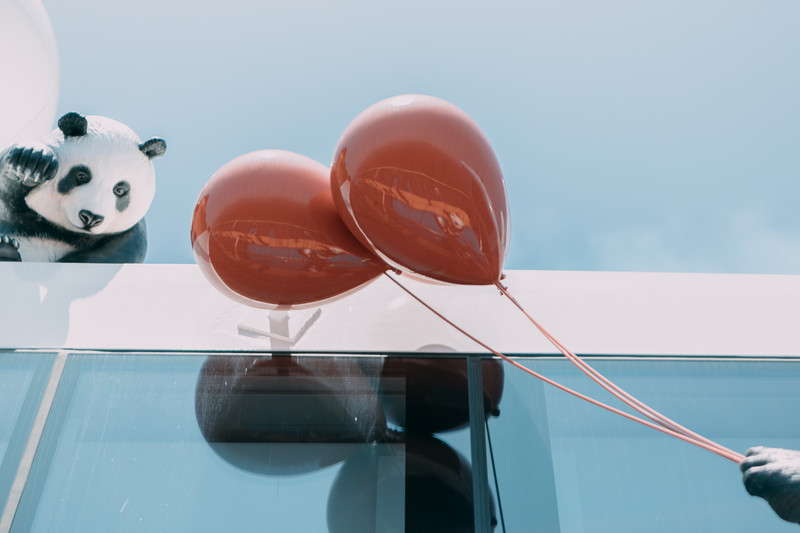 游轮自由行日本,一家五口游轮旅行日本