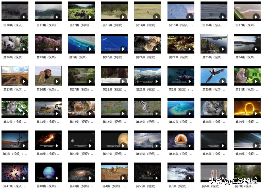 惊艳的视听盛宴，国家地理科普百科双语50集，孩子学习太适合了