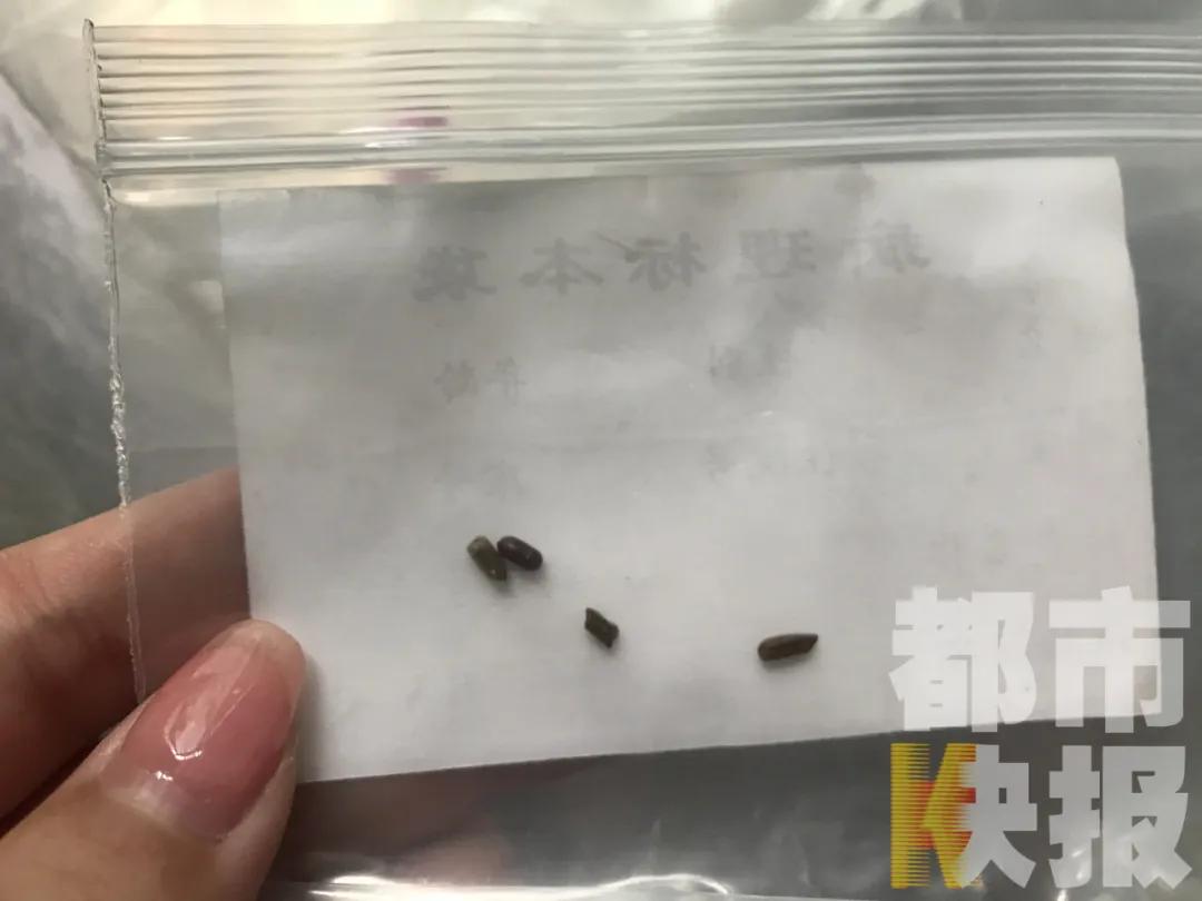 西安一幼童遇“飞虫入耳”,医生:千万别掏!可用这种东西