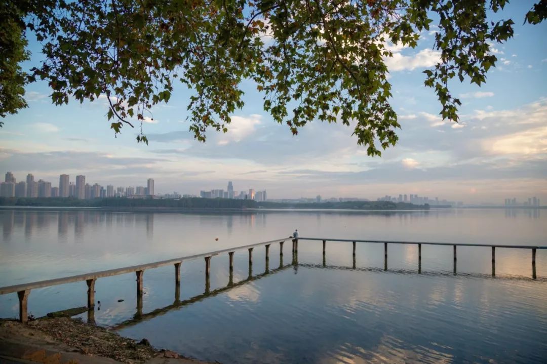 中国最美的大学武汉大学,最美的武汉大学