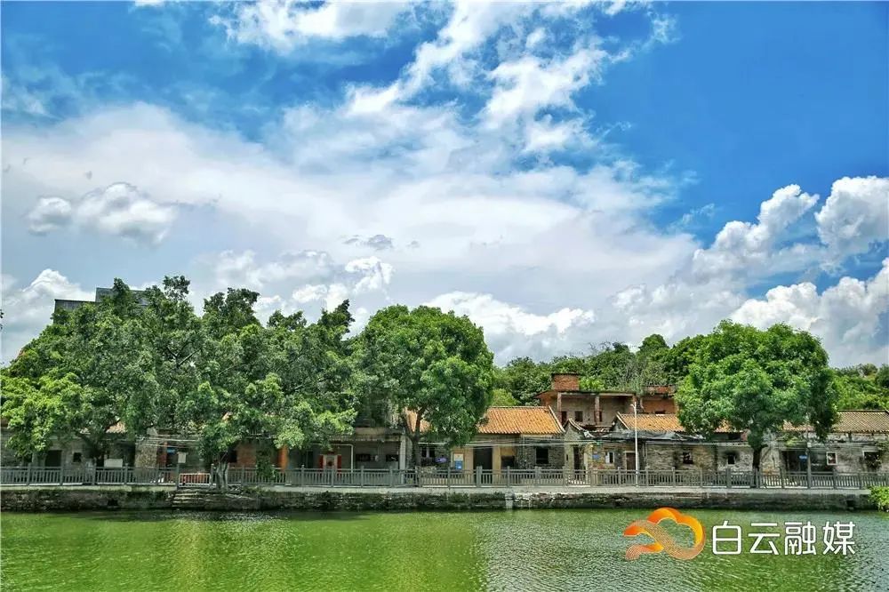 白云区好的初中排名榜,白云区成绩排名