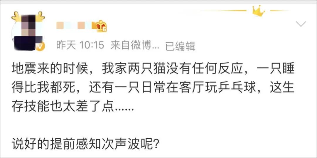 猫地震的时候没有反应,地震了猫会有反应吗