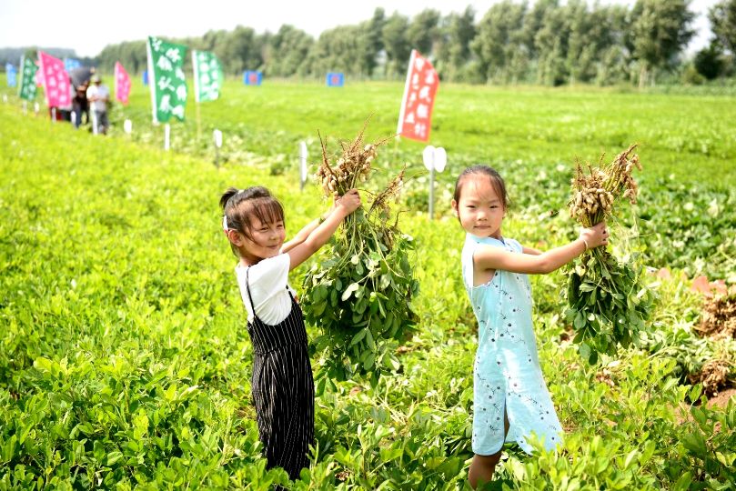 康平周边五一自驾游免费景点攻略,康平县夏季旅游