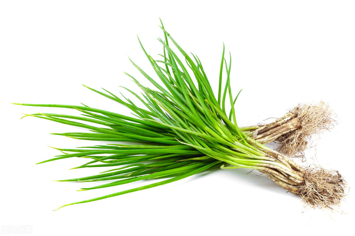 掉色葱有什么危害,野生葱的危害有多大