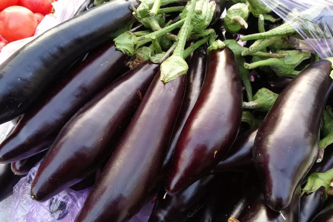 怎么才能让茄子做得又香还长 (茄子怎么挑又嫩又好吃的青皮茄子)