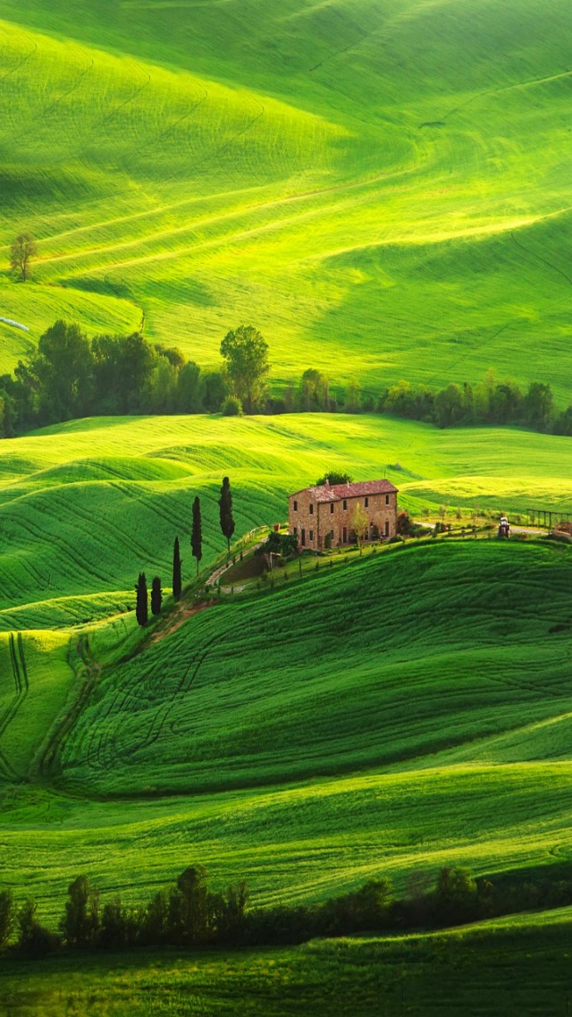 精美二次元壁纸高清,60张绝美壁纸超清