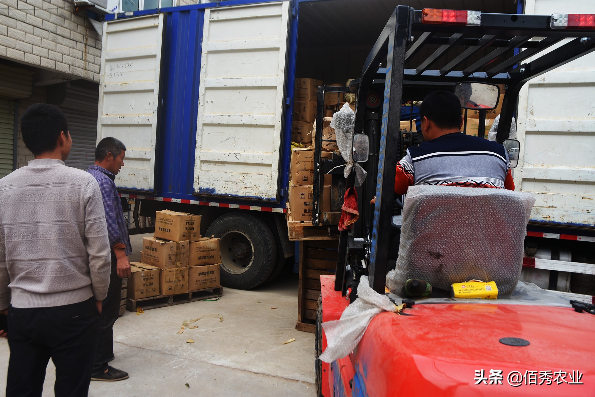 女记者辞职,记者辞职卖地瓜年入一亿引争议