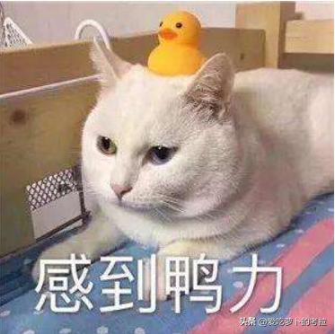 汉硕研究生遇到的奇葩事,2020南京大学汉硕考研真题