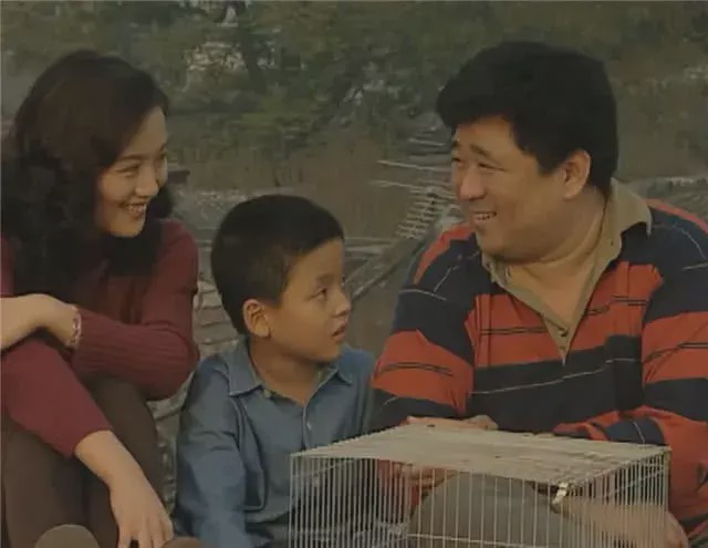 类似于父母爱情的温情电视剧,最靠谱的温情大剧《父母爱情》