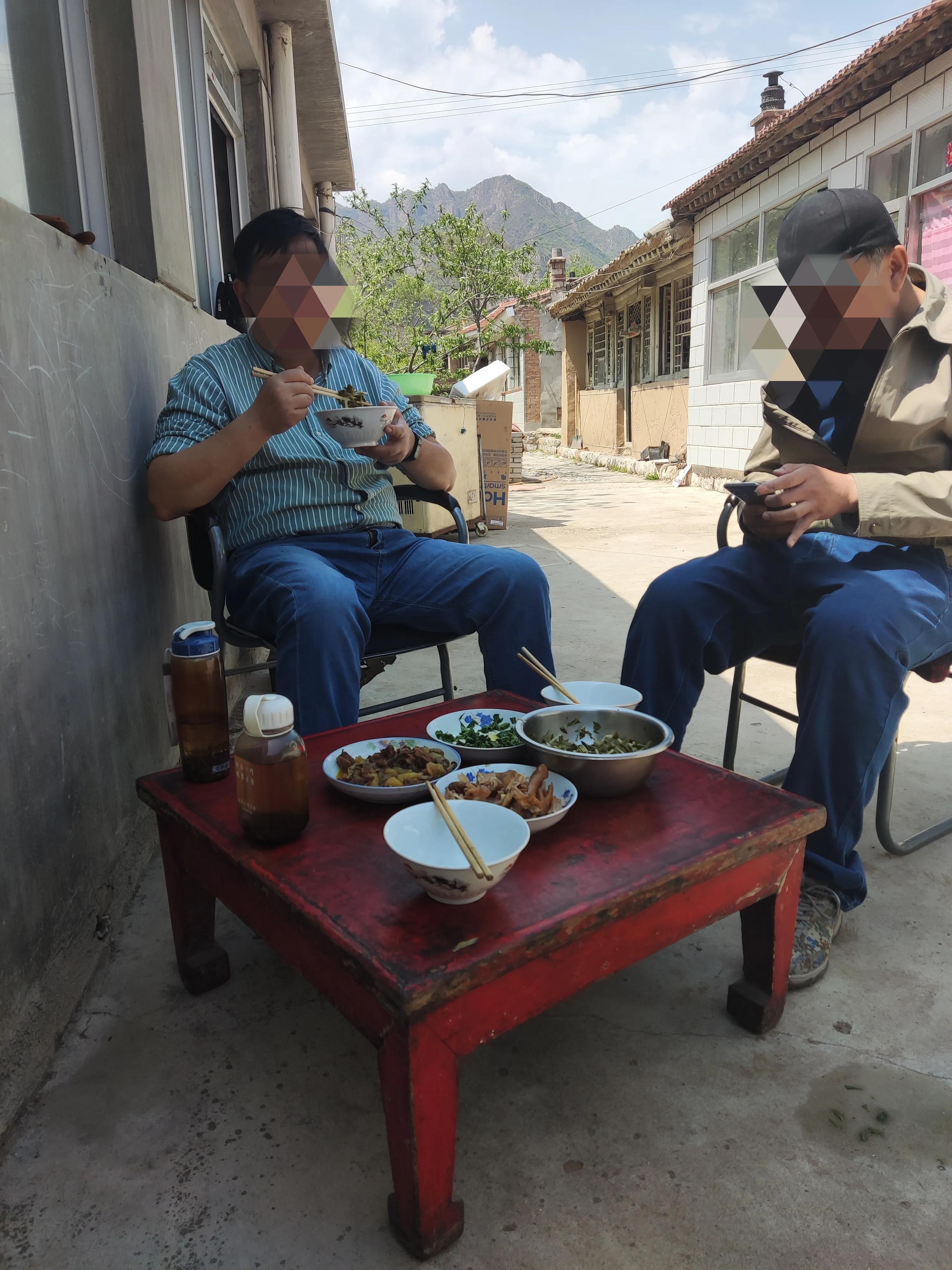 杨树叶子拌什么好吃,杨树叶可以直接凉拌吃吗