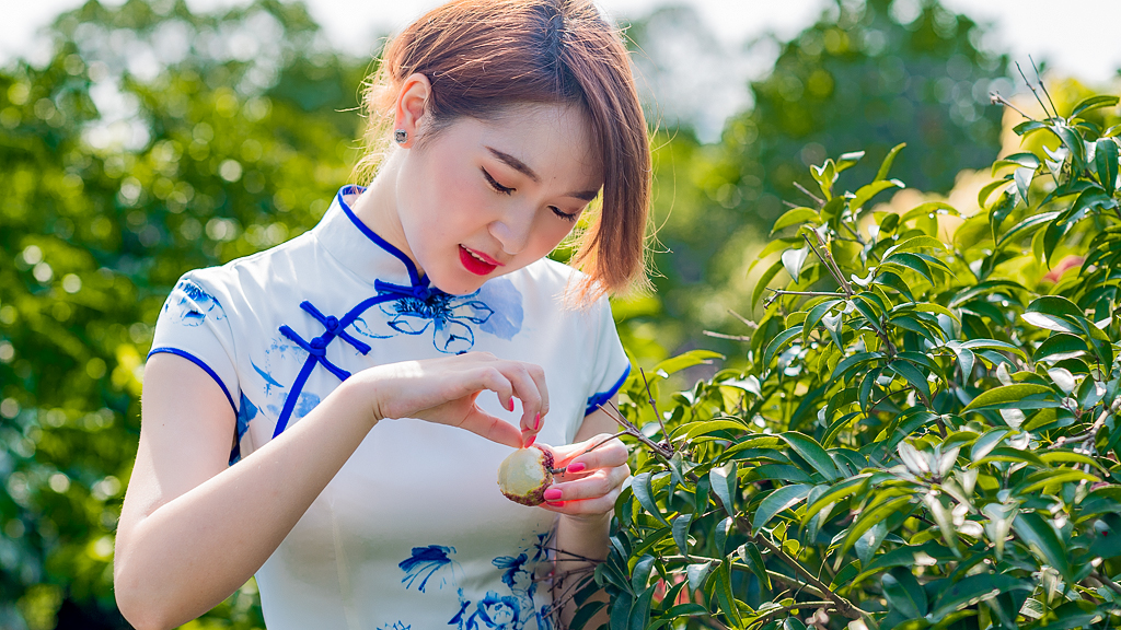 海口附近的荔枝采摘园有地过夜吗,海口周边采摘荔枝一日游最佳地点