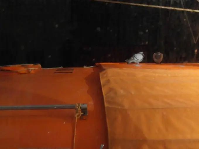 在邮轮上班要注意什么,没有疫情的时候我在做什么