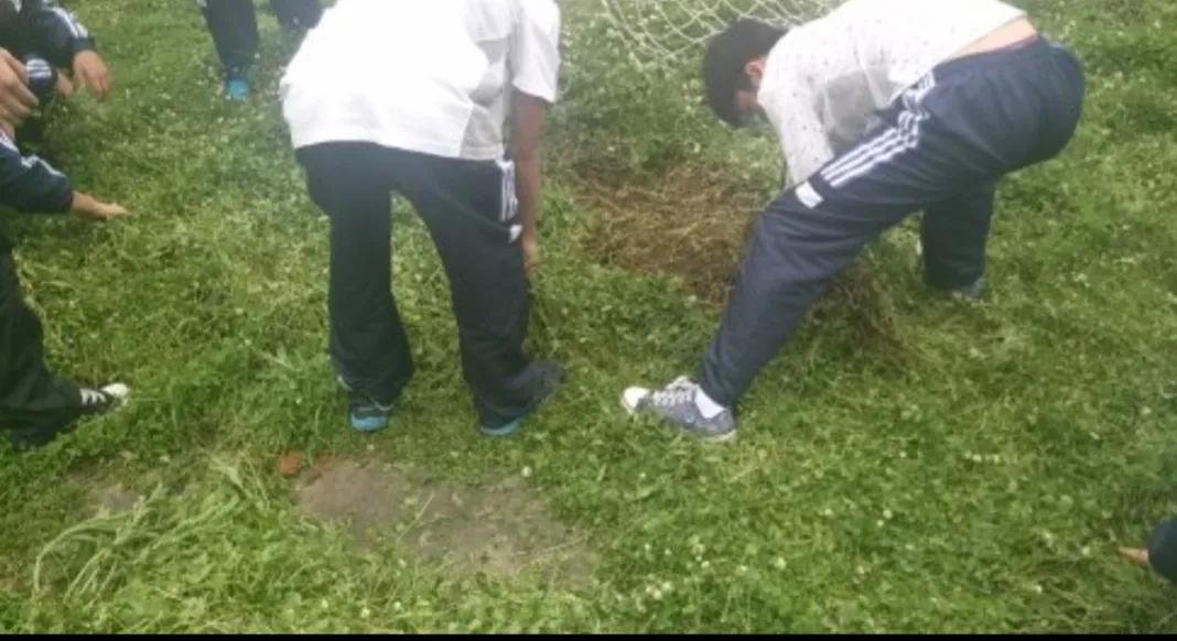 乡土作家袁炳纲记实散文《急人》