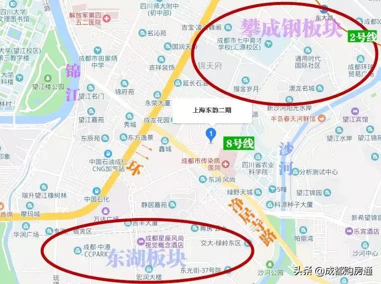 种了20年的铁树终于开花了,养了几十年的铁树终于开花了