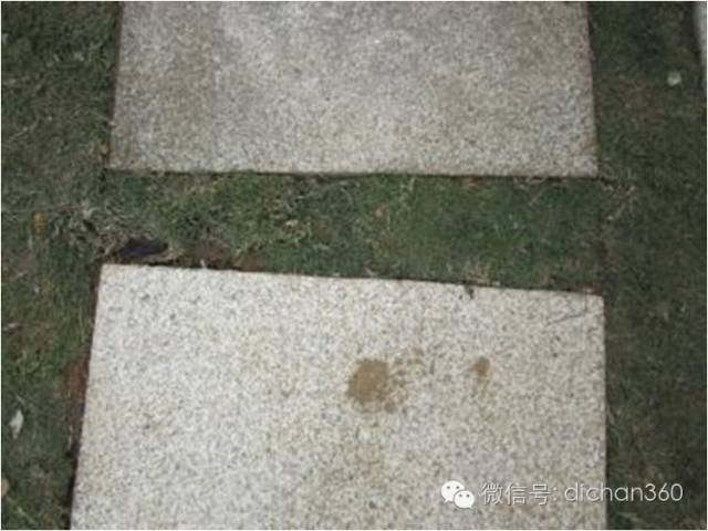 园林景观交付前十三道评估项,园林交付评估细节有哪些