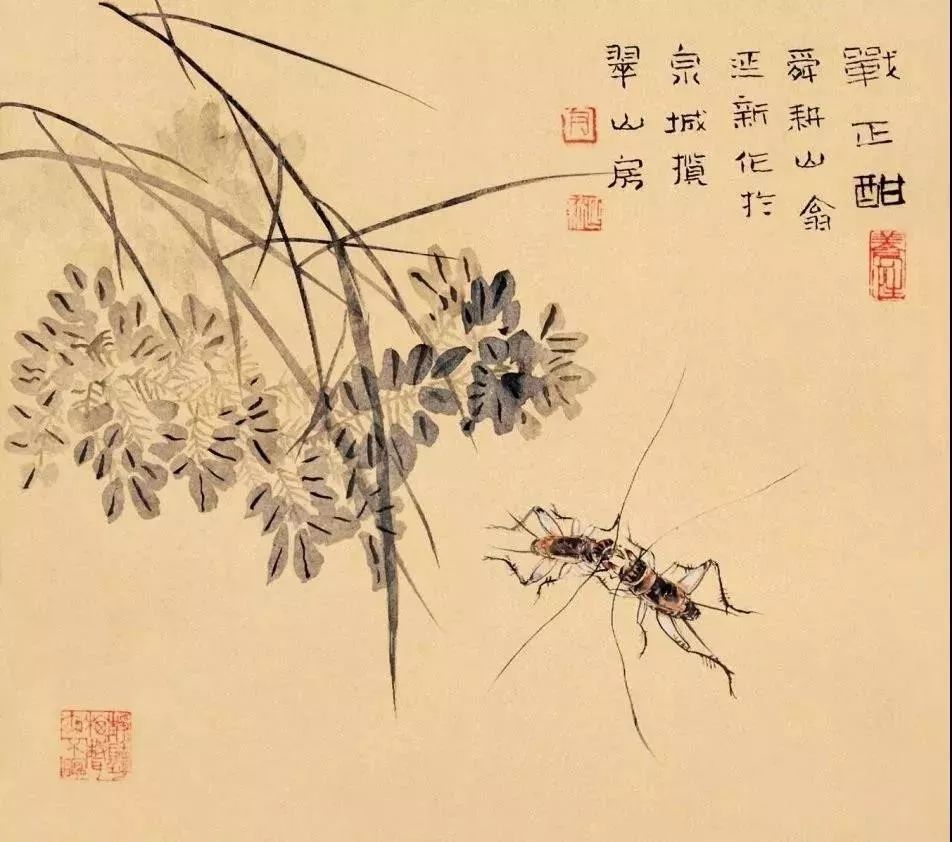 齐白石水墨小品欣赏,齐白石虫草长卷