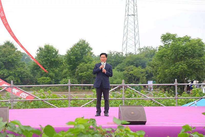 八方游客齐聚桑果紫酒节，共赴这场采桑品酿盛会