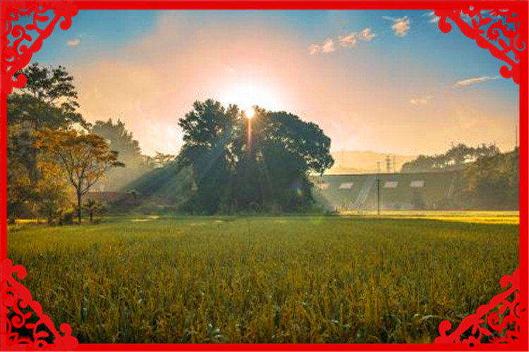 农村赚钱的方法有哪些,目前农村有哪些挣钱的项目