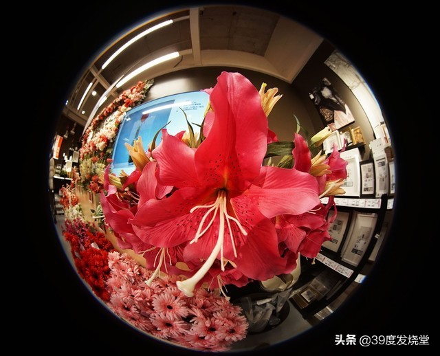 210°视角老蛙CF4mmf2.8鱼眼镜头评测