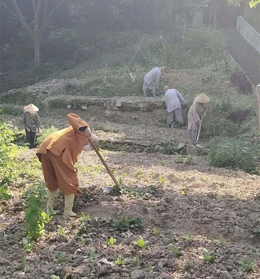 抢抓农时开展农业生产,农民纷纷抢抓春耕生产有利时机