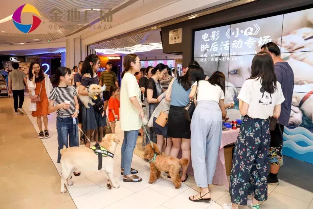 金地商置实力怎么样,金地商置深度解析