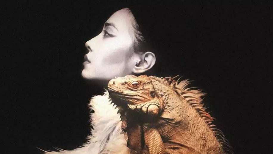 蔡依林张韶涵同台完整版,蔡依林张韶涵声音对比