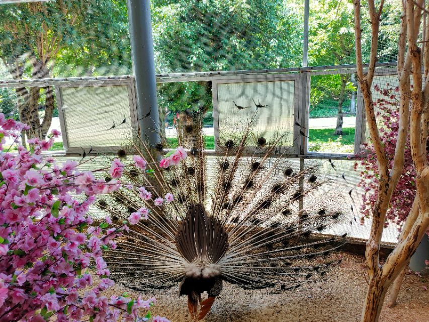 厦门园博苑月环,厦门园博苑免费政策