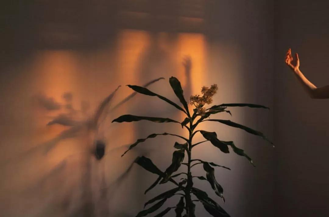 忙能治愈一切矫情图片,忙能治愈一切矫情的上一句