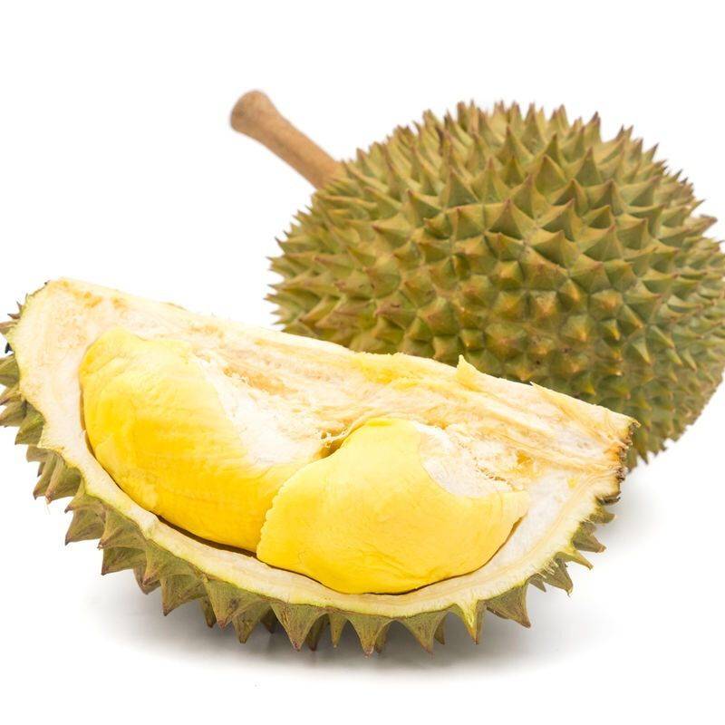 10种果子图片大全,100种果子介绍