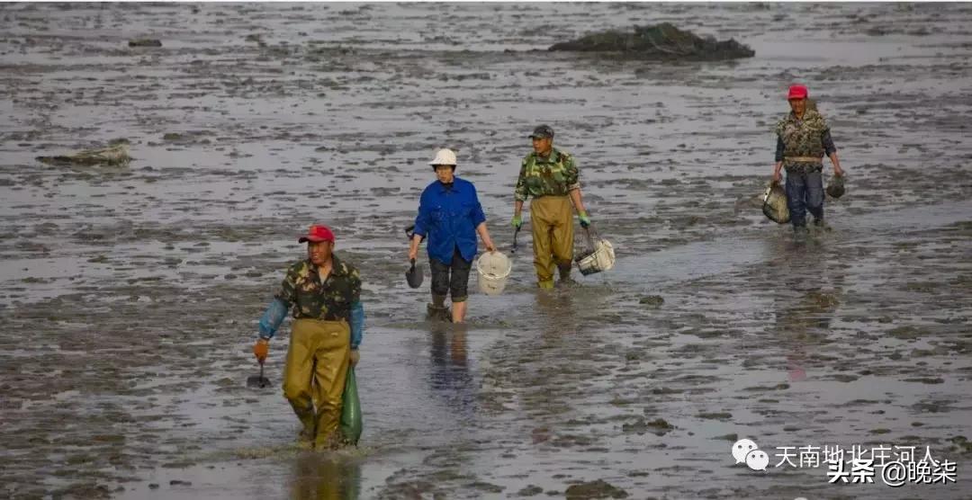 大连庄河赶海排名第一名,庄河赶海网红视频