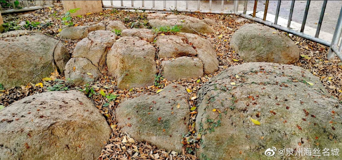 泉州高考状元庆祝,2020高考喜中状元庆祝