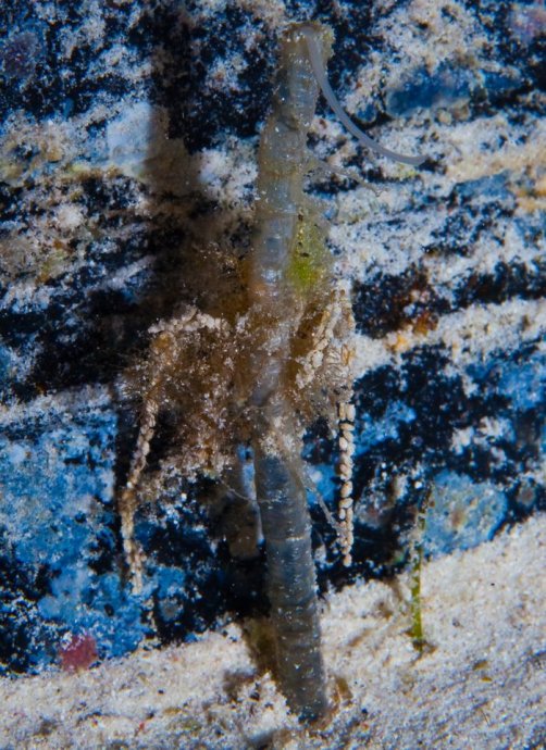 海底你不知道的东西,海底世界东海龙宫