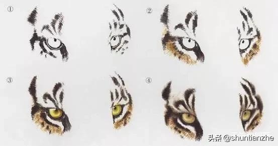 工笔老虎技法教学视频,工笔老虎胸毛的撕毛法
