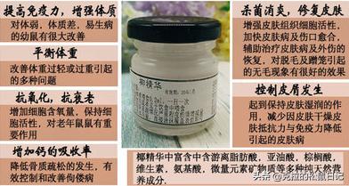 松鼠换夏毛需要注意什么,松鼠换毛是怎么换的