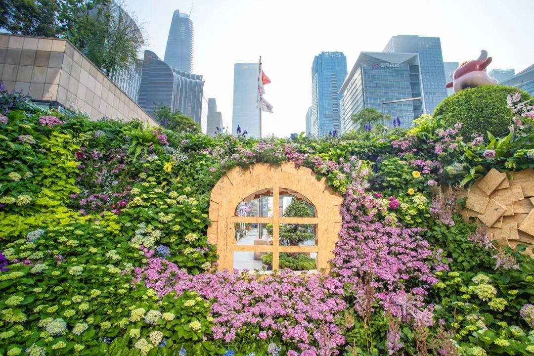 理论中心组进行集体学习,理论学习中心组集体学习计划