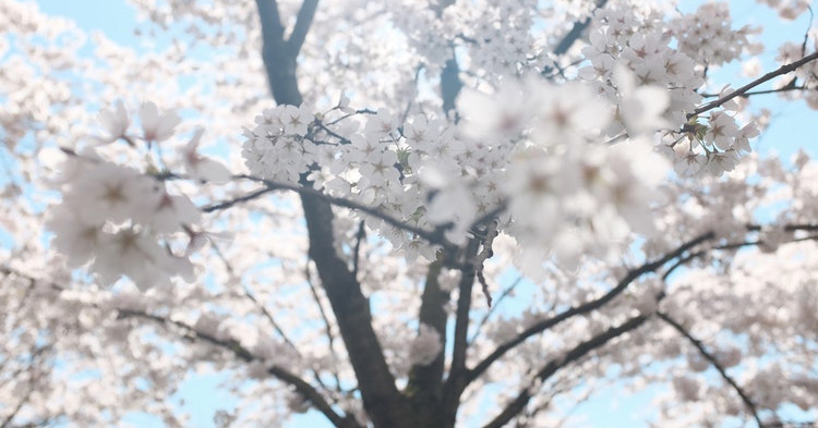 故事出狱后算账,故事出狱之后