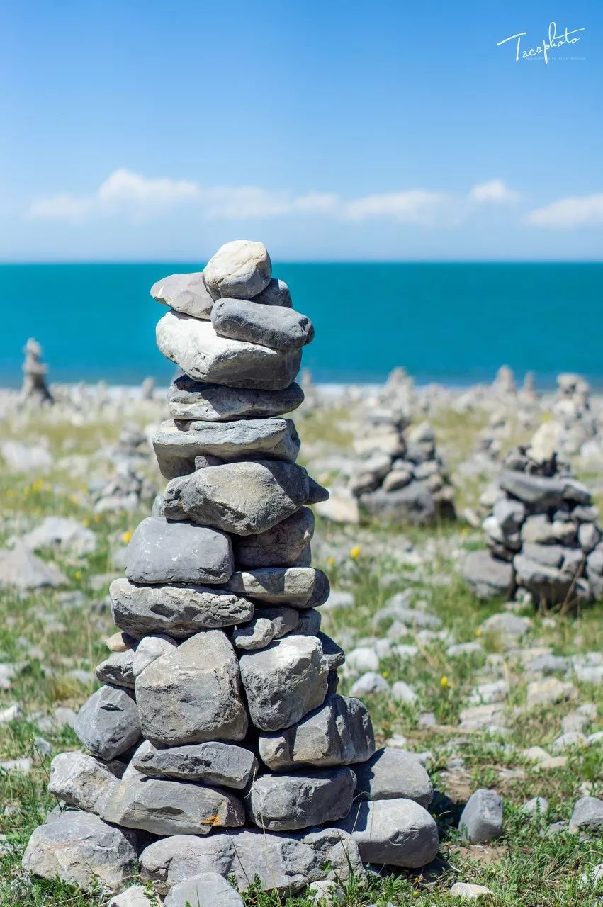 七月的青海湖美翻了,带你了解七月的青海