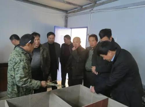 农村创业点子干点啥,农村80后创业方法有哪些