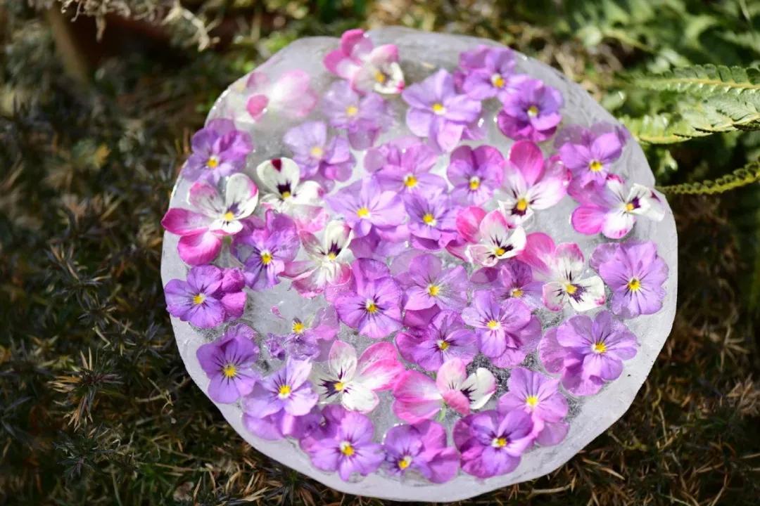 寒潮来袭，你的阳台也能开出这样的“水晶花”