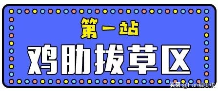 懒癌患者神器哪个好,懒癌必备神器推荐