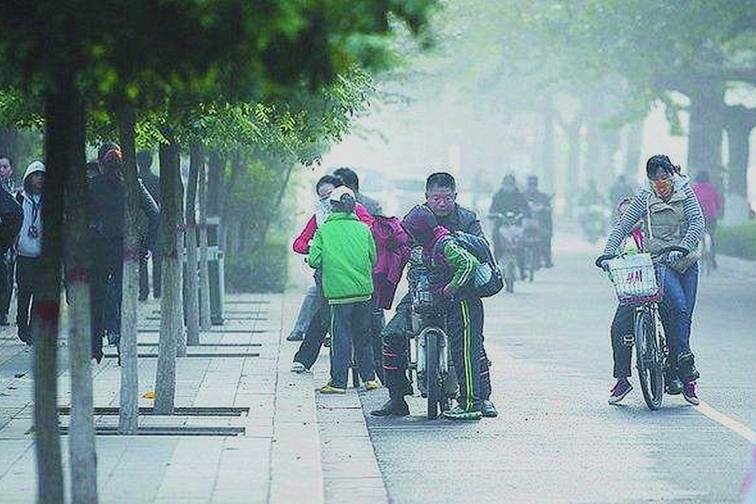 孩子问妈妈为什么咱家没有车,孩子问家里为什么没有车怎么回答