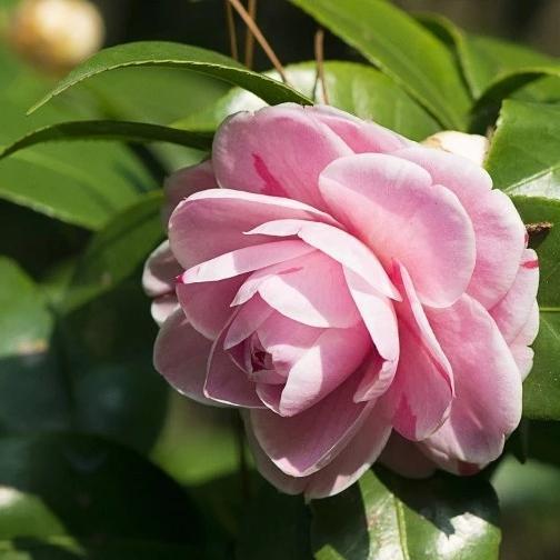 生日口红唇釉推荐,生日口红礼盒推荐