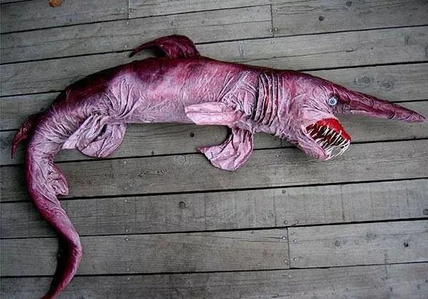 不忍直视世界罕见的十大变异动物,不忍直视世界罕见的十大动物